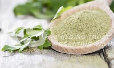 What are the outstanding advantages of freeze drying technology?